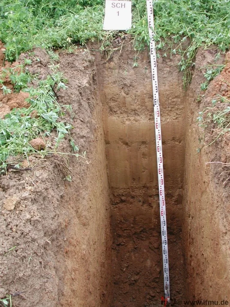 Exploratory Test Pits for Geotechnical Investigation in Cairns